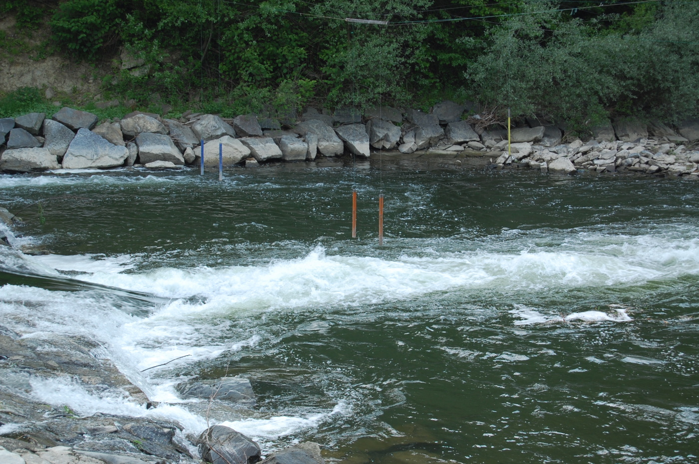 img00208.jpg