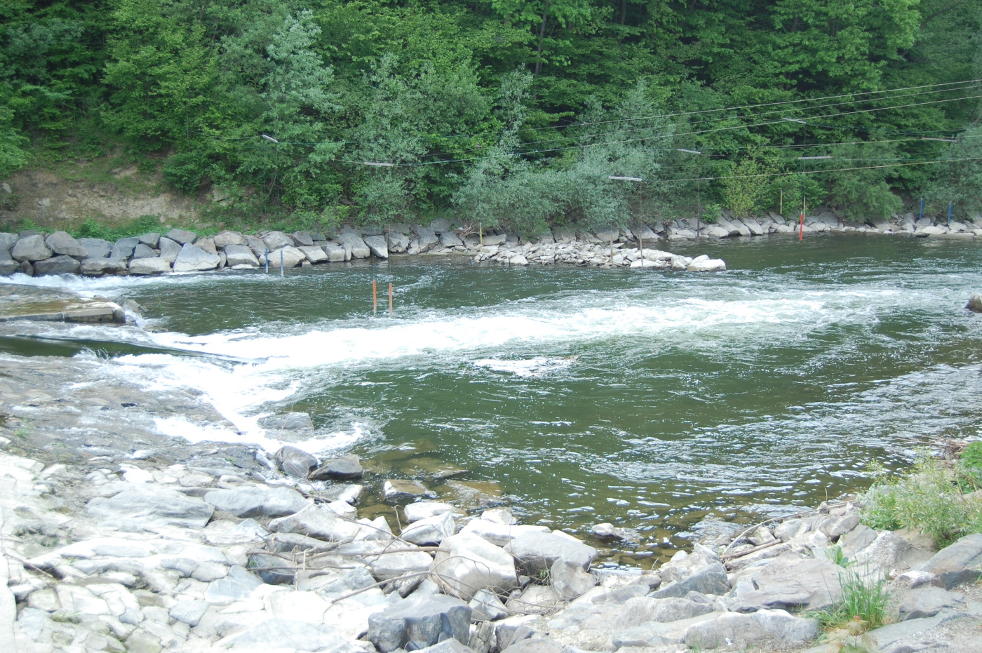 img00211.jpg