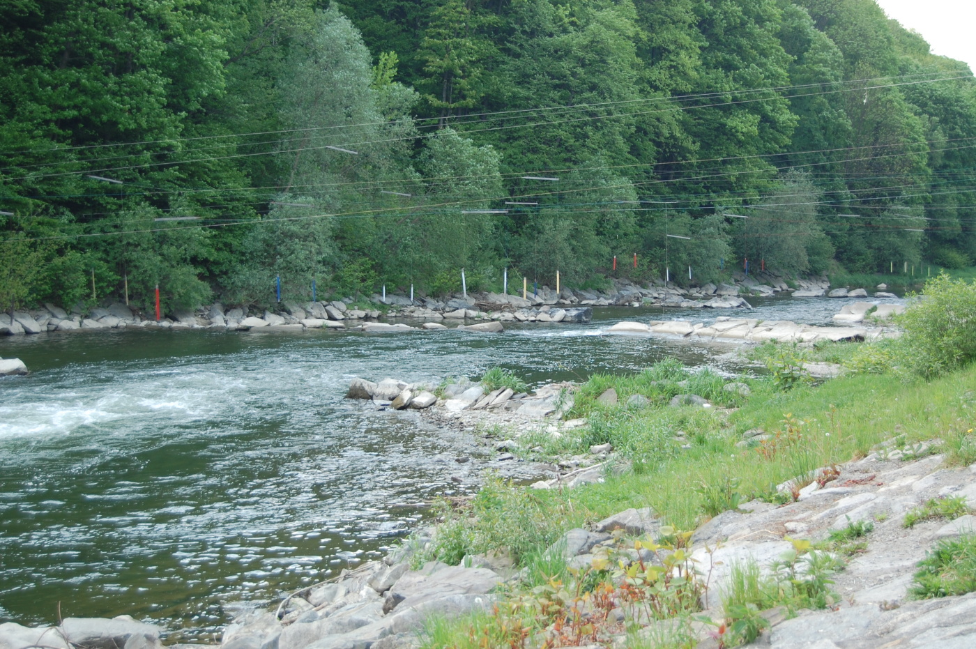 img00214.jpg