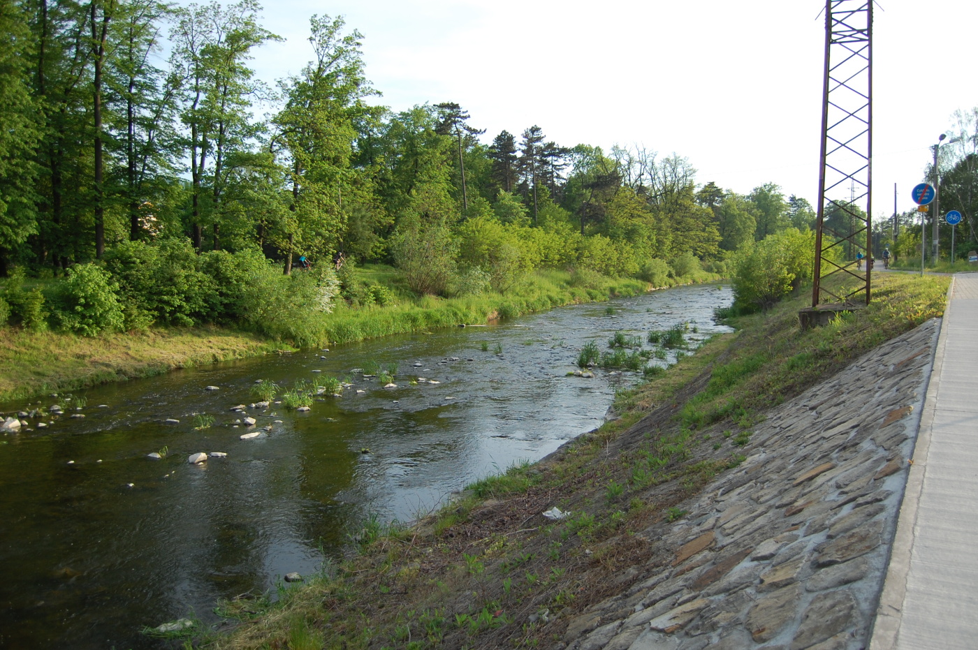 img00221.jpg