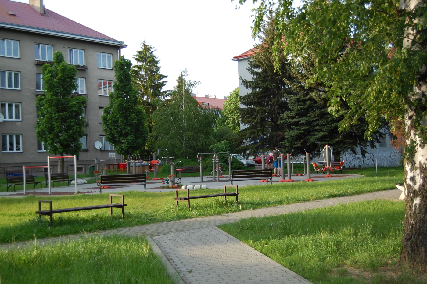 img00225.jpg