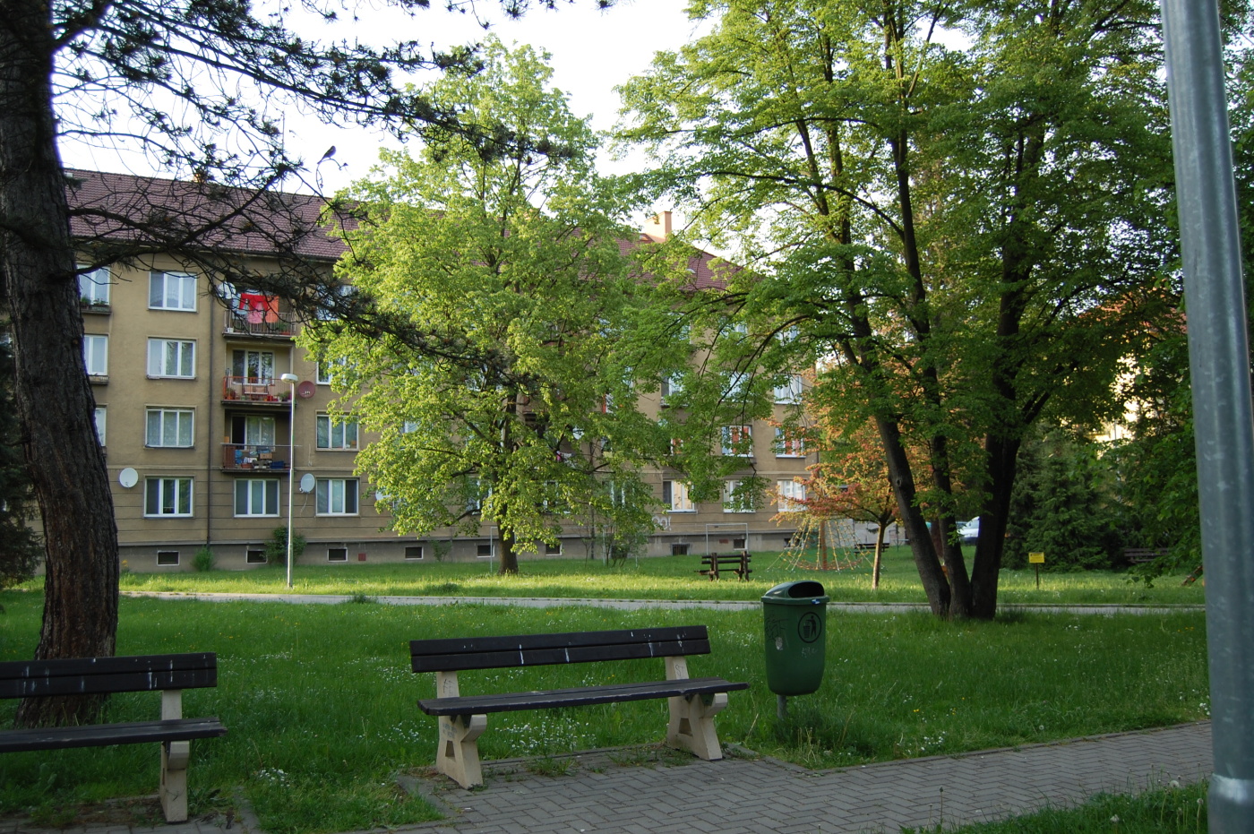 img00228.jpg