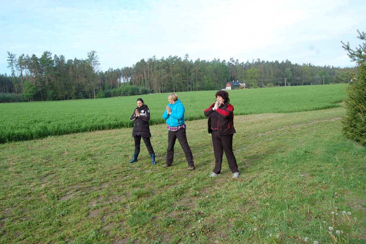 img00019.jpg
