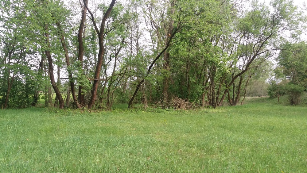 img00057.jpg