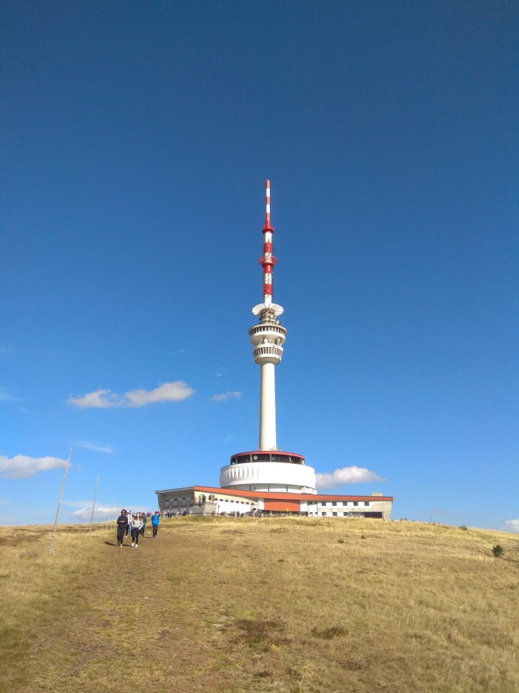 img00008.jpg