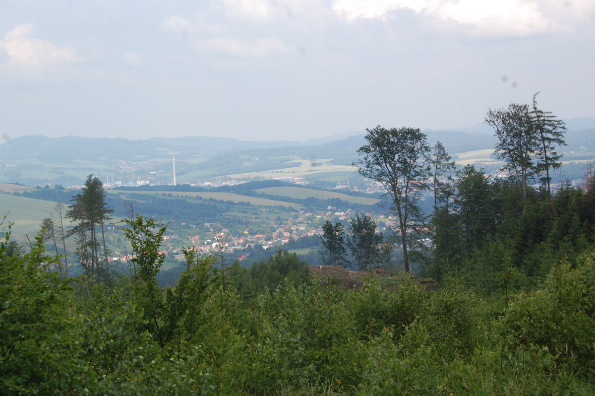 img00012.jpg