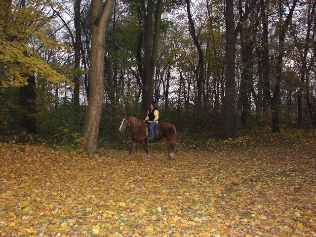 img00006.jpg