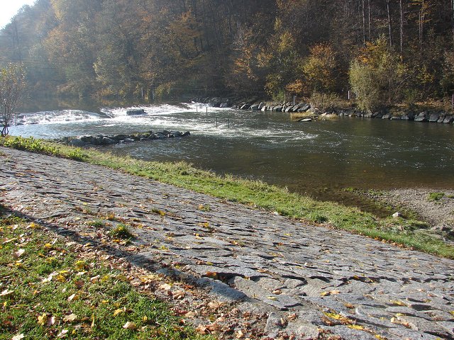 img00019.jpg