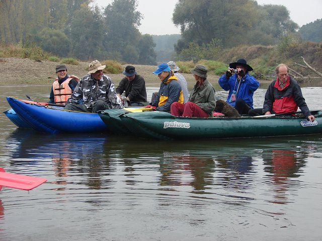 img00056.jpg