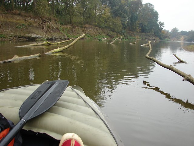 img00058.jpg