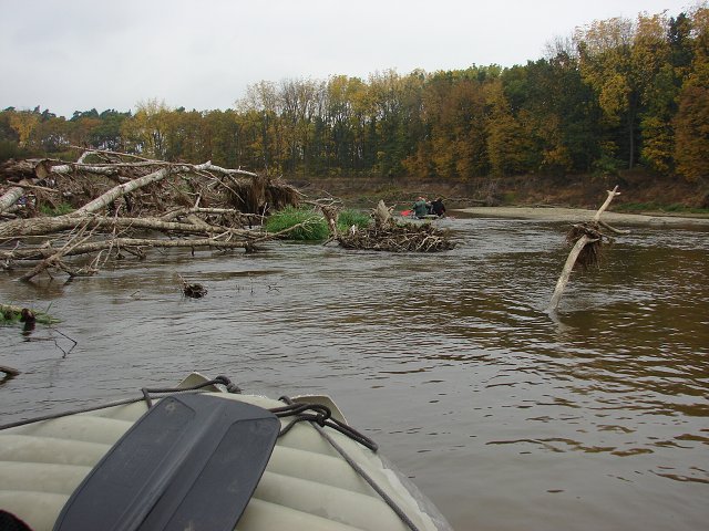 img00089.jpg