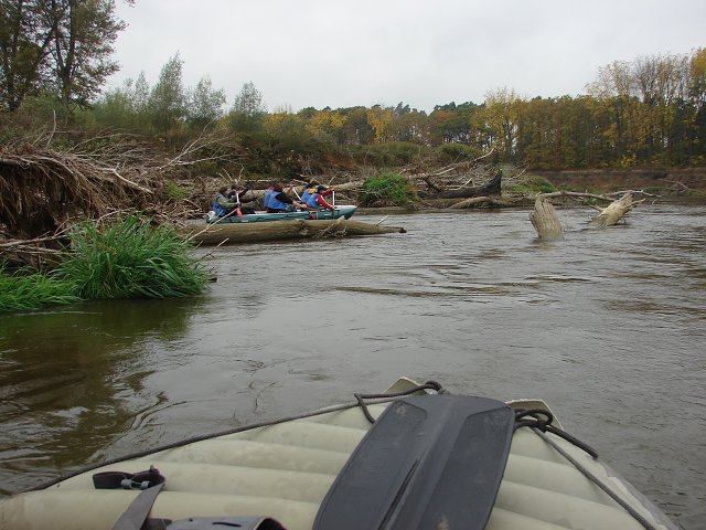 img00090.jpg
