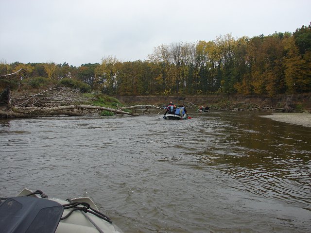 img00091.jpg