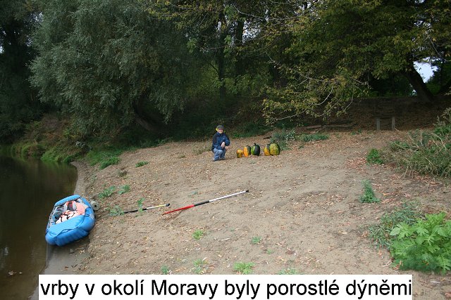 img00093.jpg