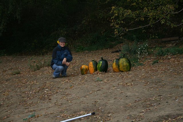 img00094.jpg