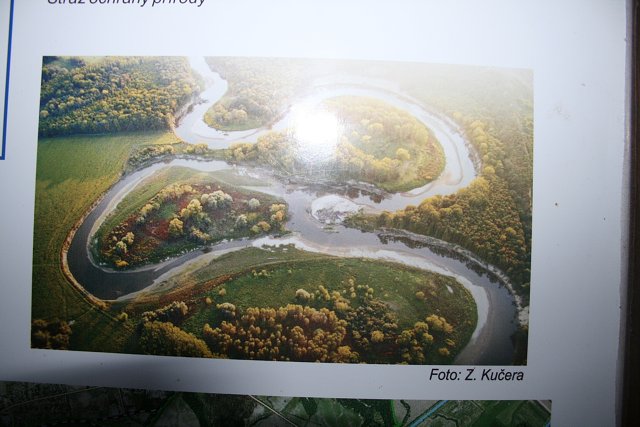img00105.jpg