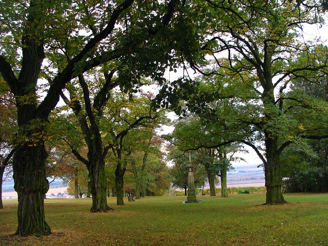 img00161.jpg