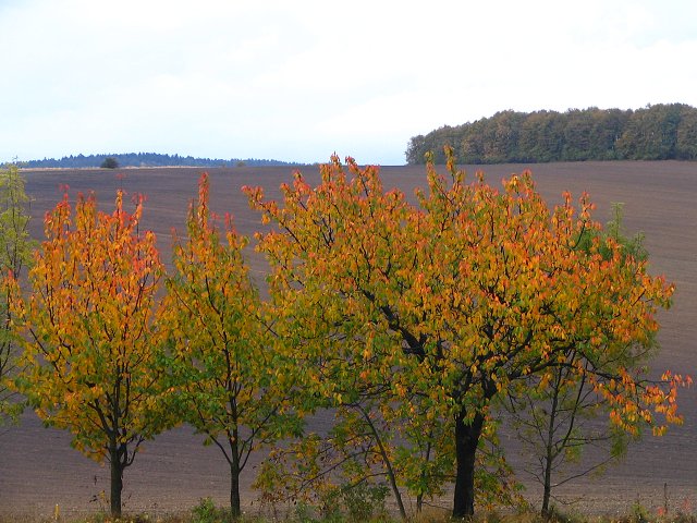 img00166.jpg