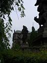 IMG_9790_P1020617