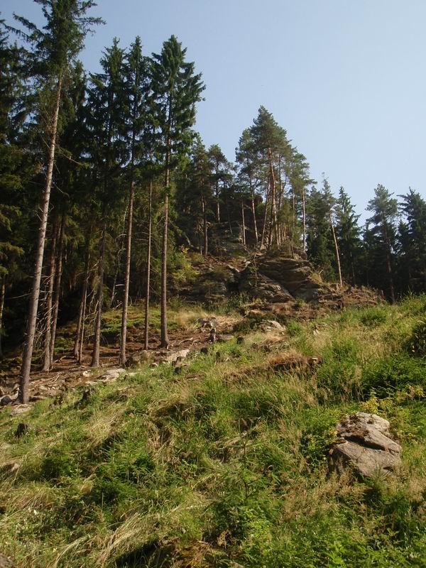 P7140041