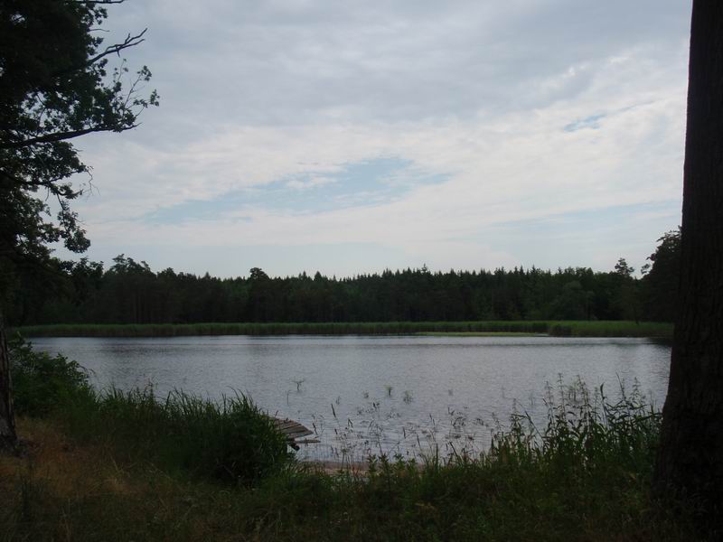 P7150073
