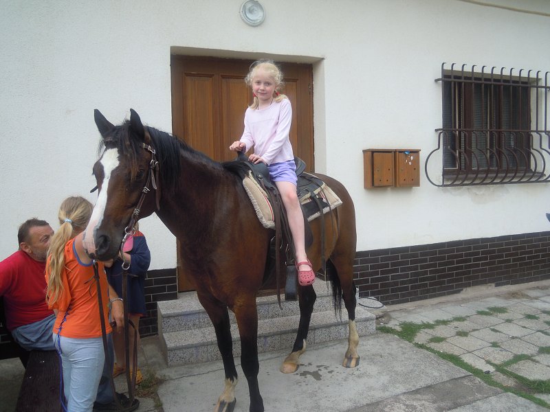 DSCN0288.jpg