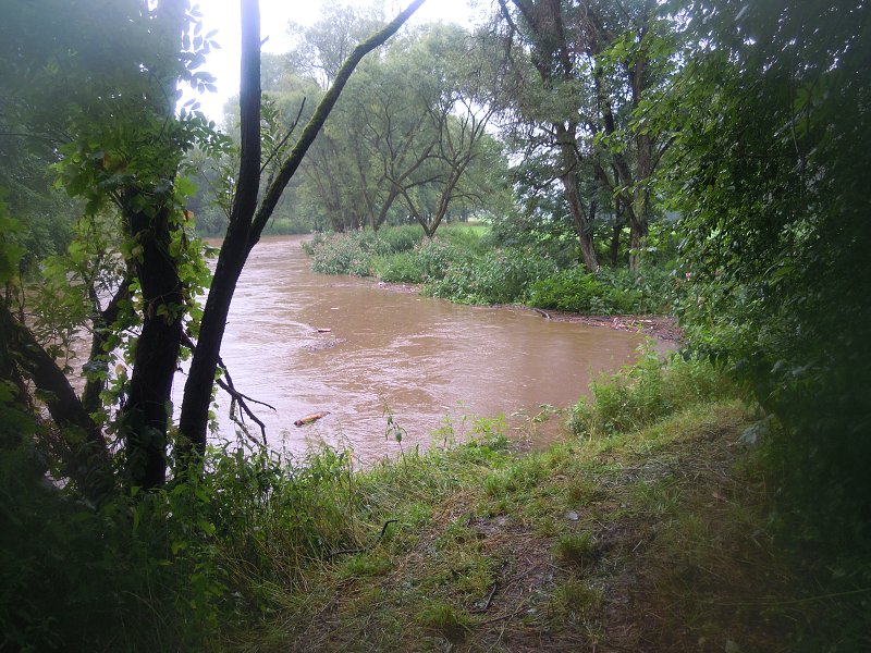 DSCN0338.jpg