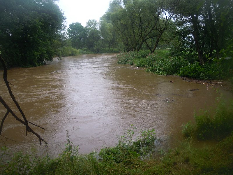 DSCN0339.jpg