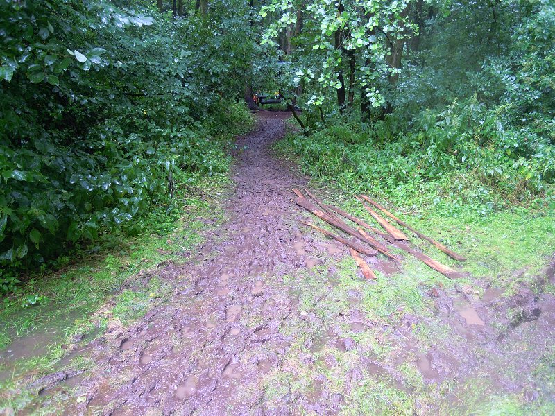 DSCN0365.jpg
