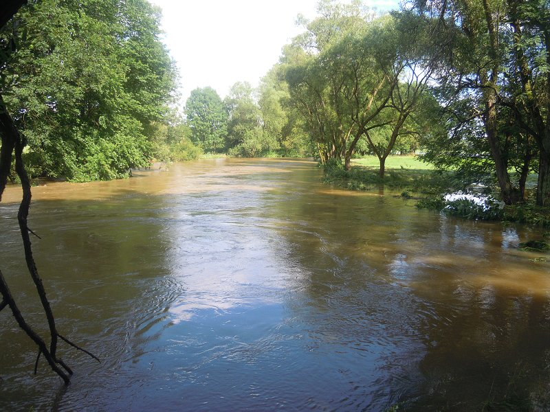DSCN0422.jpg