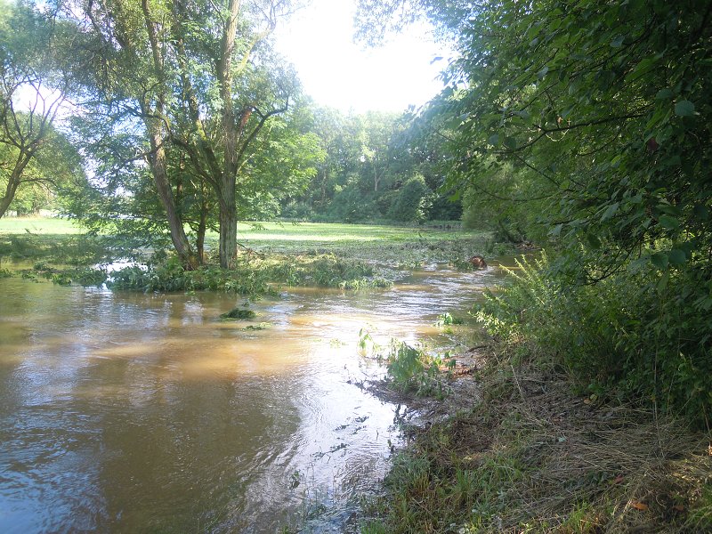 DSCN0424.jpg