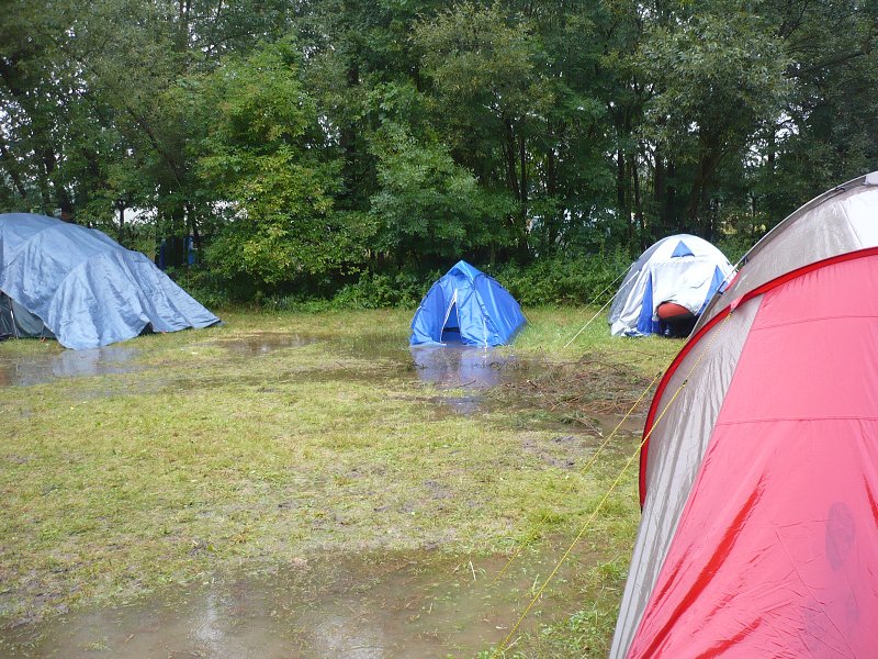 P1120884.jpg