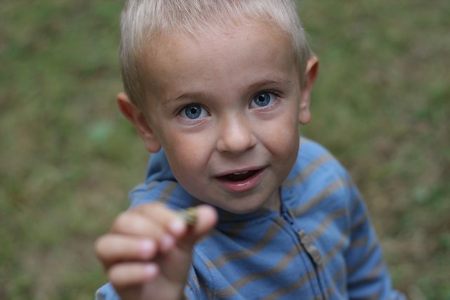 img00044.jpg