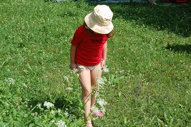 img00116.jpg