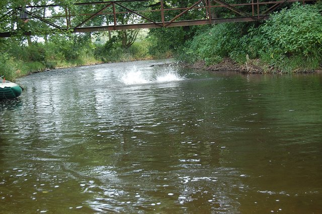 img00155.jpg