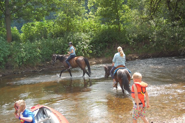 img00159.jpg