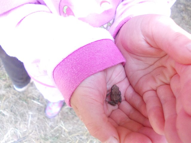 img00333.jpg