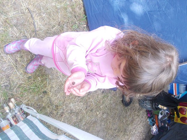img00334.jpg