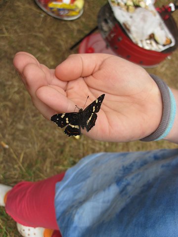 img00427.jpg
