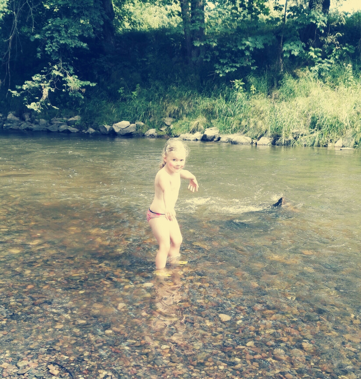img00050.jpg