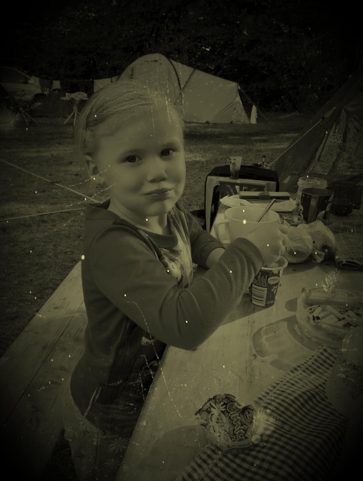 img00129.jpg