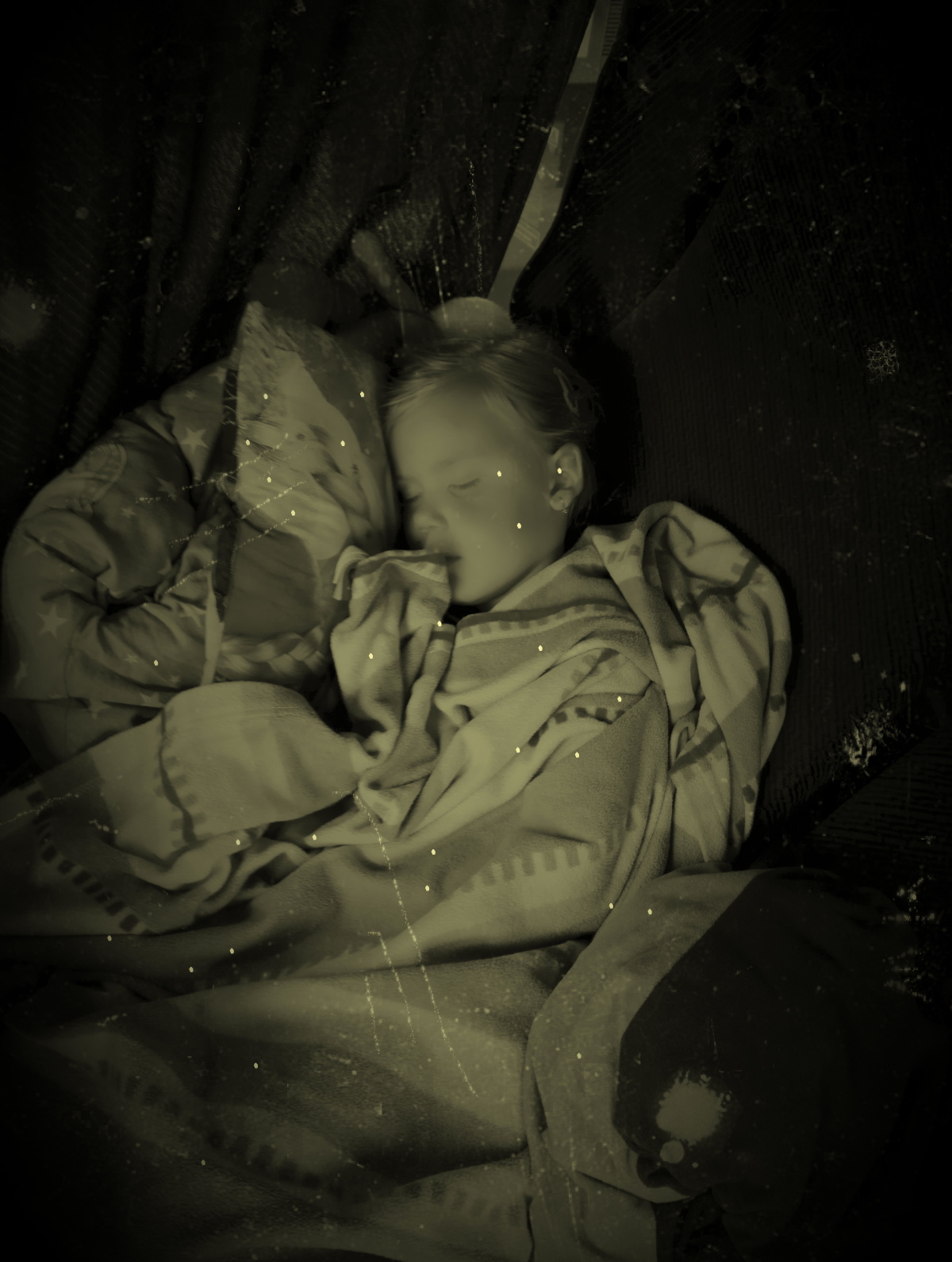 img00140.jpg