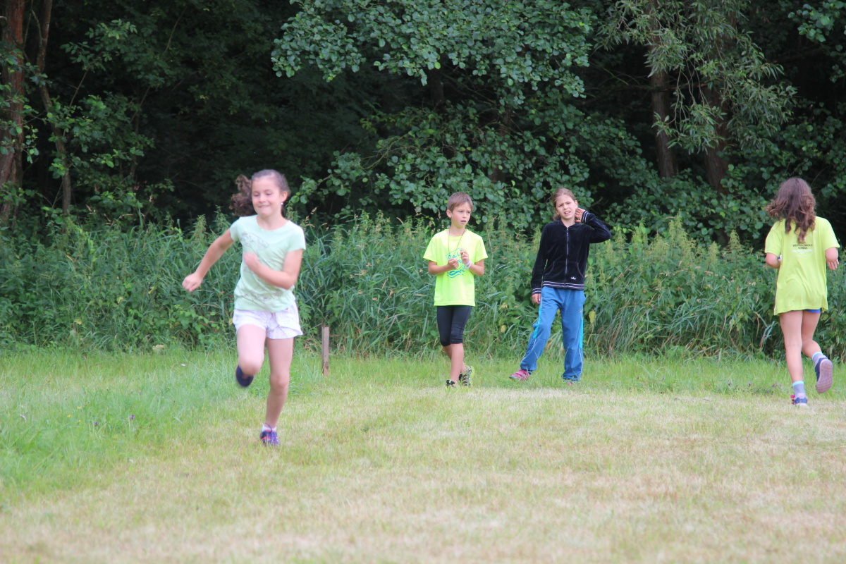img00134.jpg