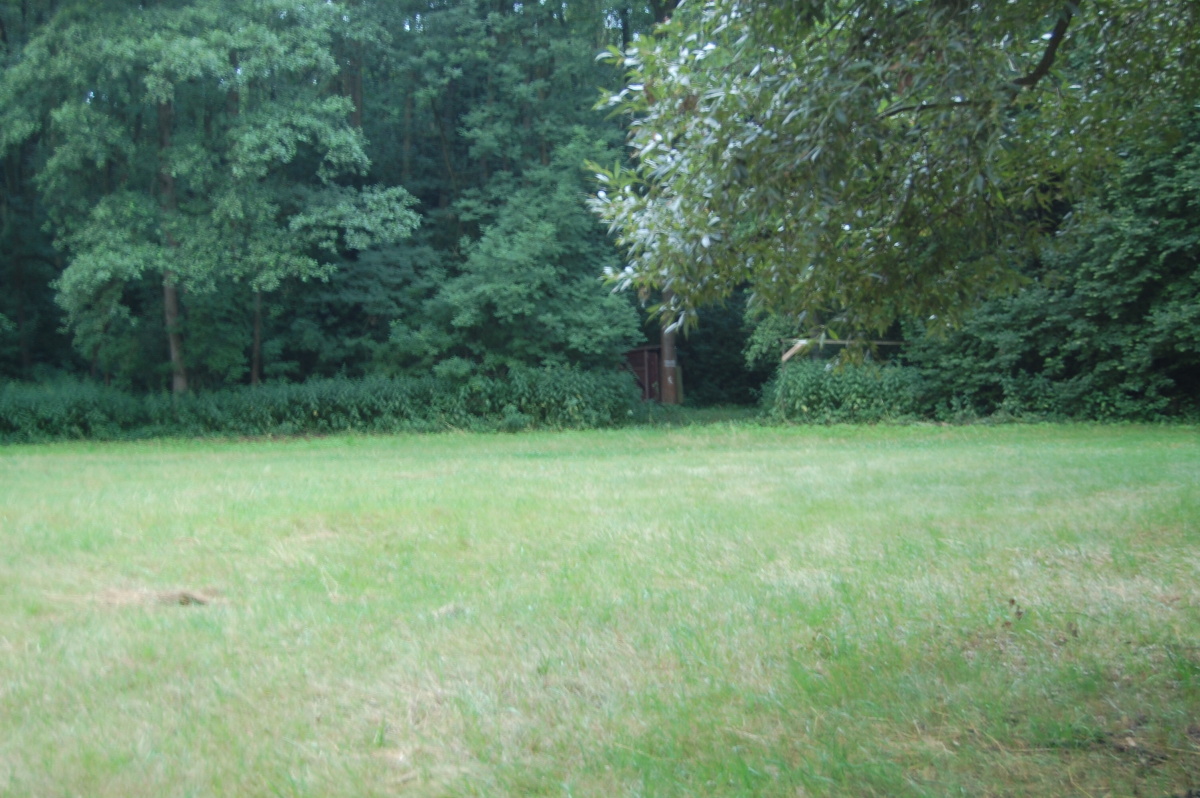 img00017.jpg