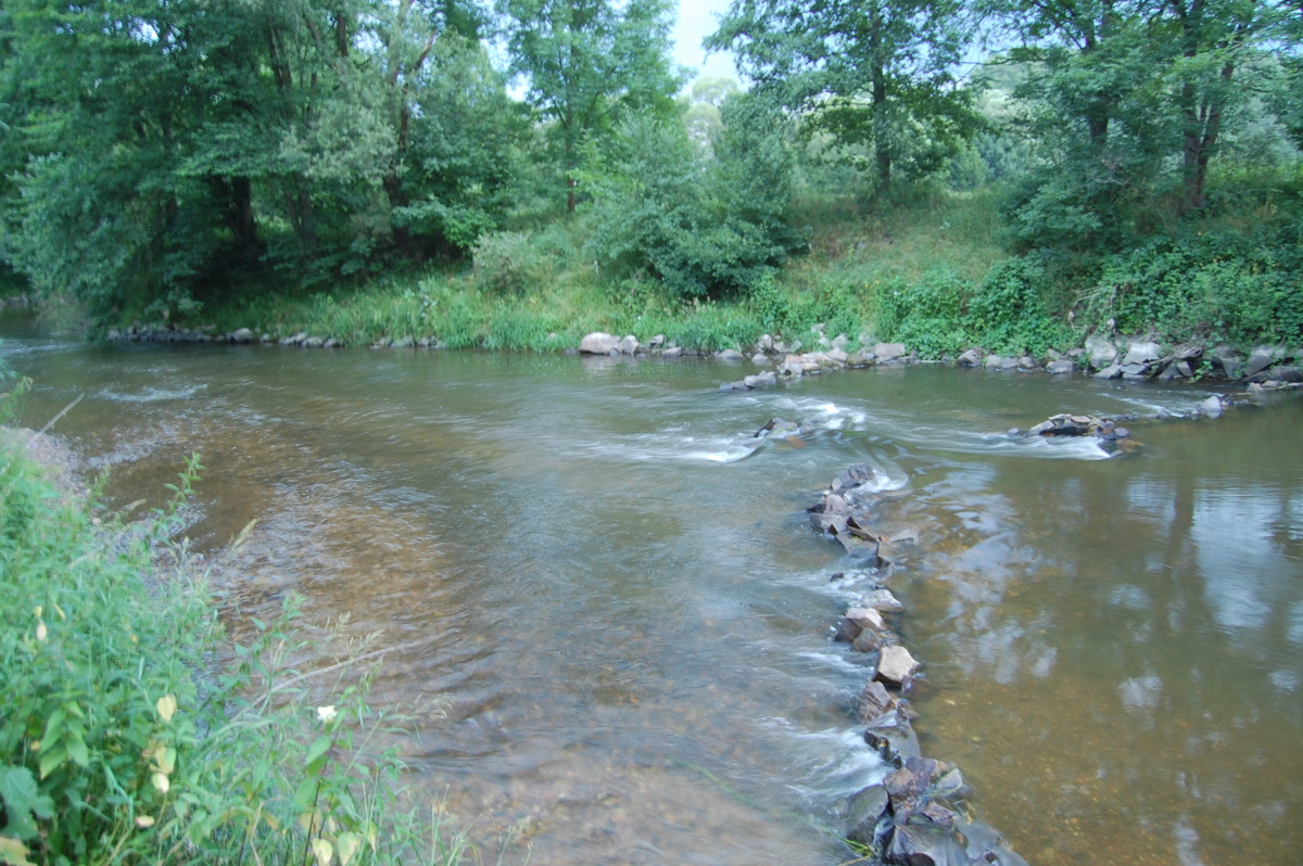 img00019.jpg
