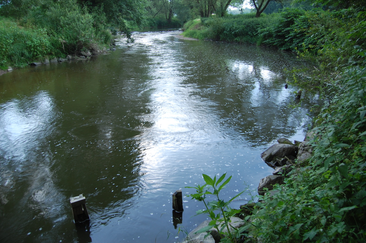 img00020.jpg