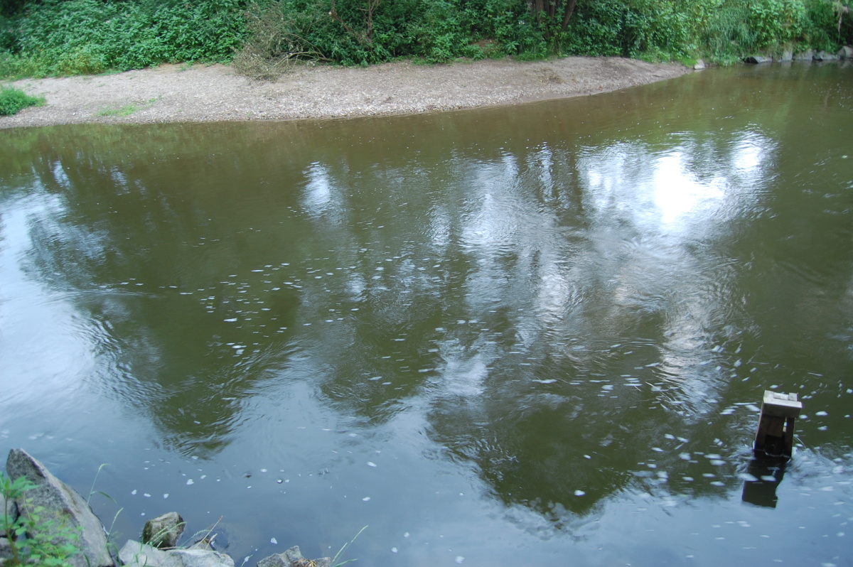 img00021.jpg