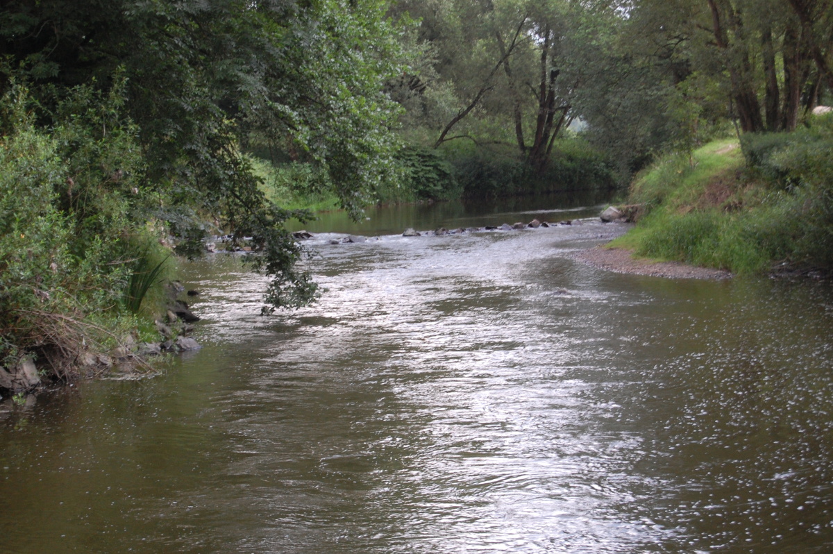 img00022.jpg