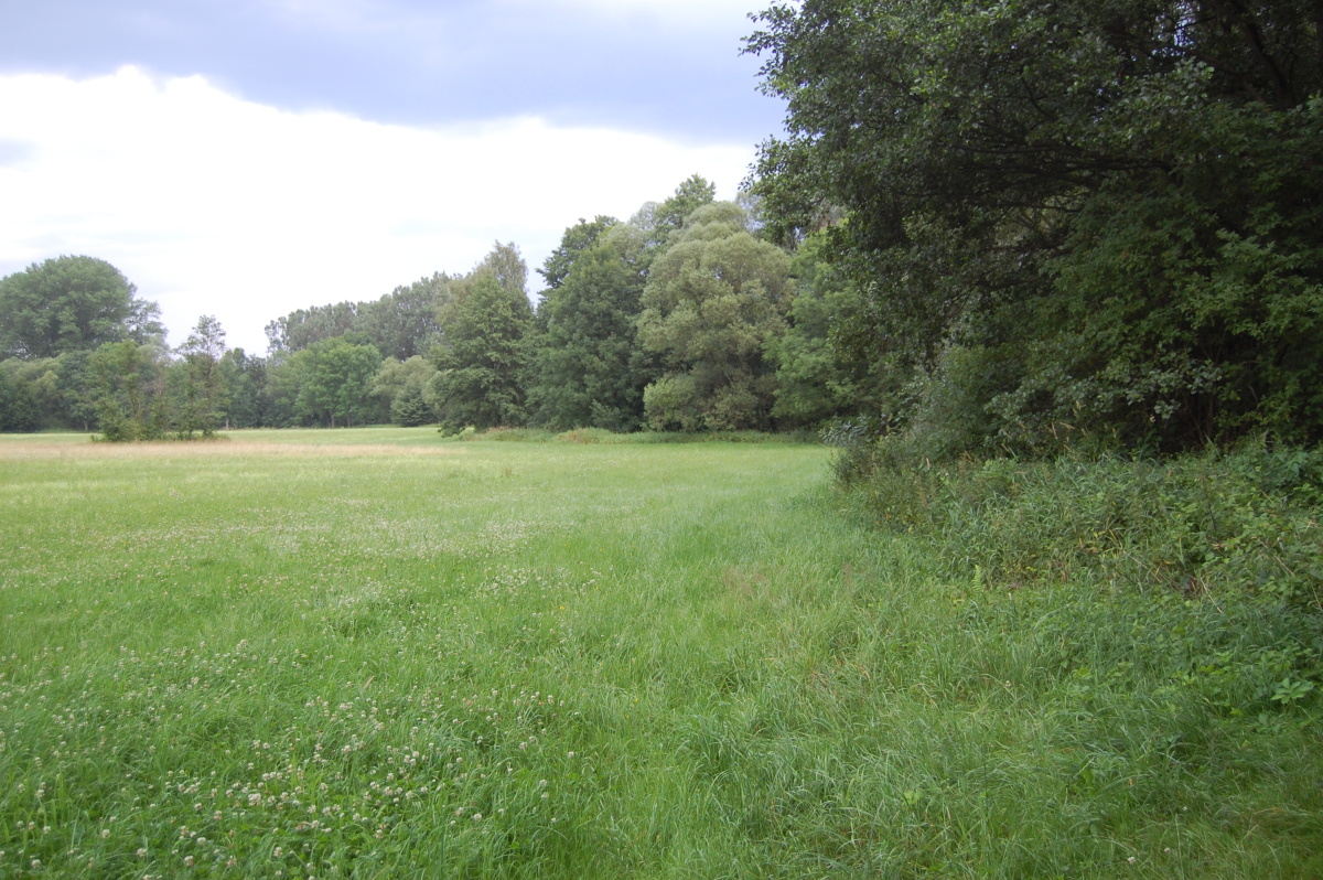 img00024.jpg
