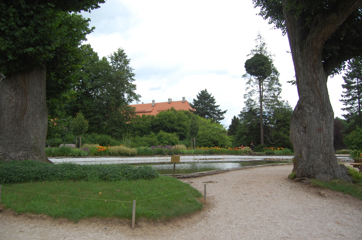 img00133.jpg
